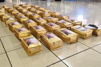 Packets of dried khat, labeled “Dry Basil leaves,” seized in Kariakoo, Dar es Salaam, ready for export as part of a drug trafficking investigation by DCEA.