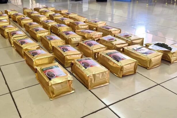 Packets of dried khat, labeled “Dry Basil leaves,” seized in Kariakoo, Dar es Salaam, ready for export as part of a drug trafficking investigation by DCEA.