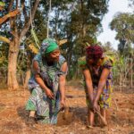 Copy of Copy of internet blackout