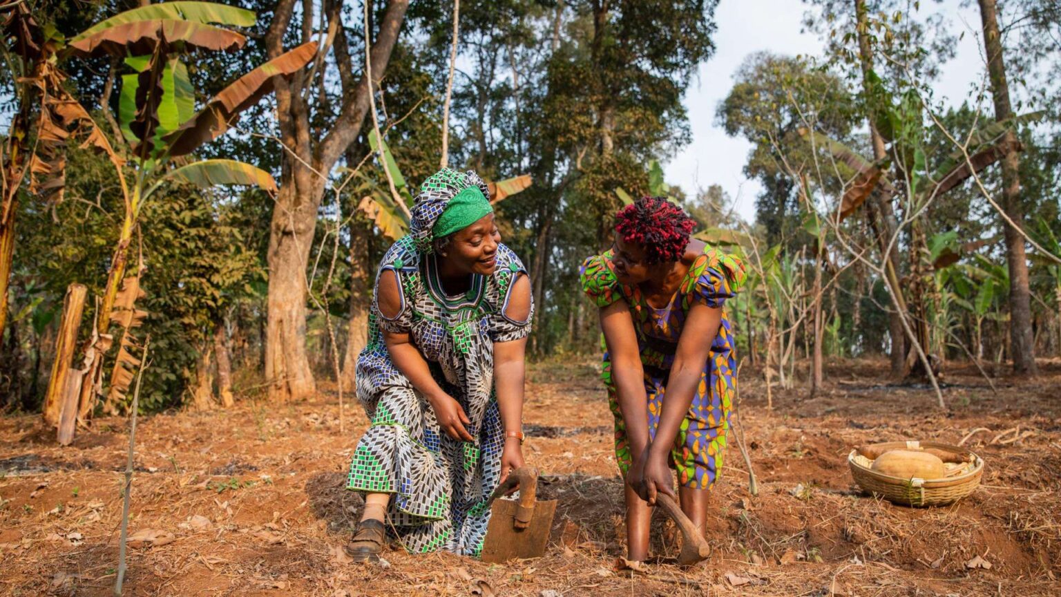 Copy of Copy of internet blackout