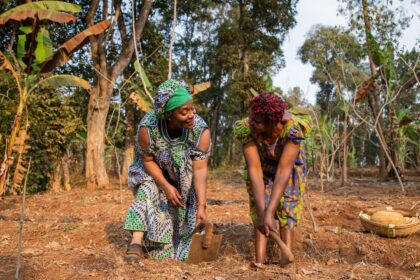 Copy of Copy of internet blackout