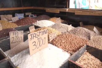 vlcsnap 2025 11 13 11h53m48s690