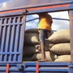 vlcsnap 2025 11 13 16h39m11s015