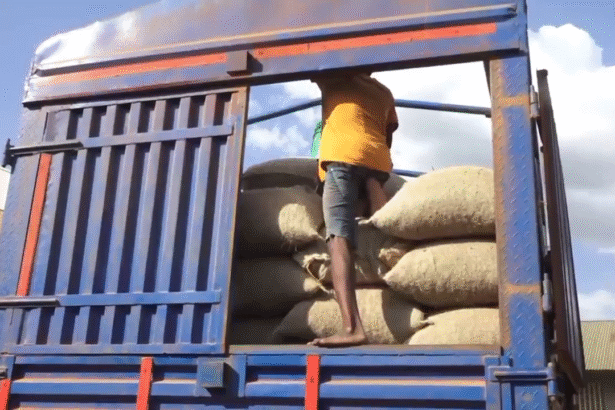 vlcsnap 2025 11 13 16h39m11s015