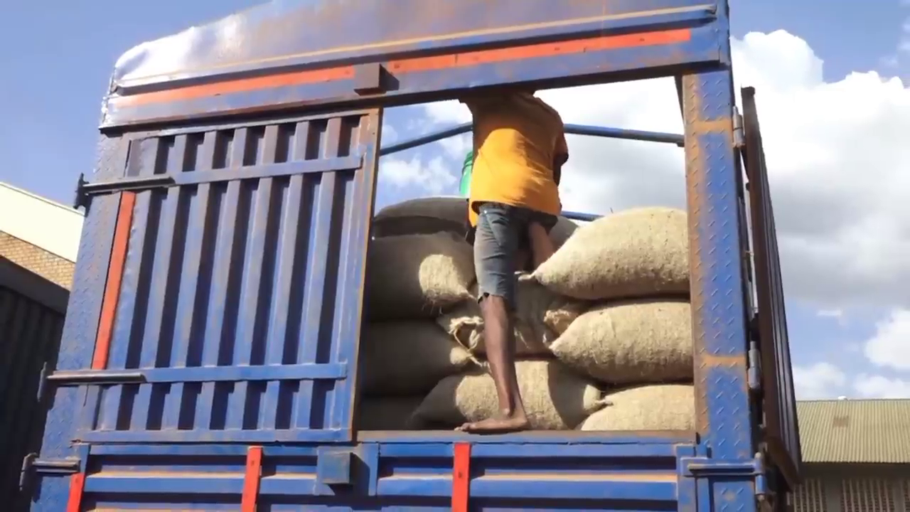 vlcsnap 2025 11 13 16h39m11s015