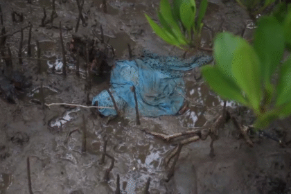 vlcsnap 2025 11 25 22h01m26s681