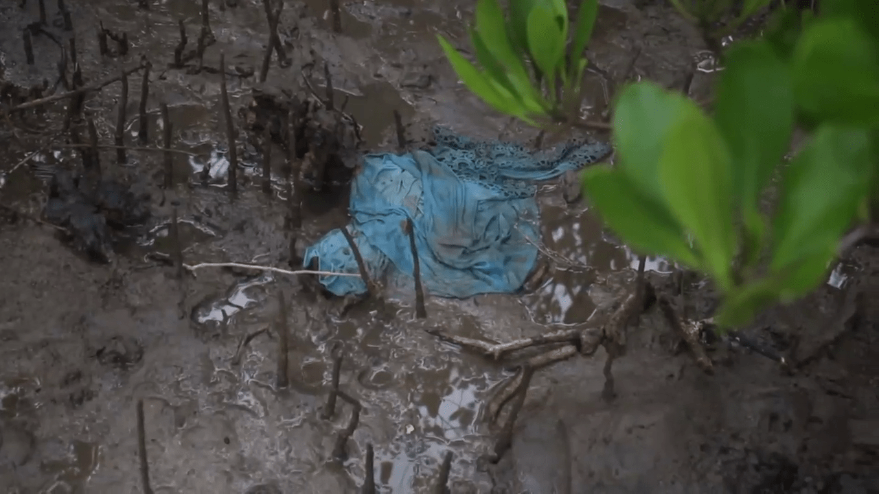 vlcsnap 2025 11 25 22h01m26s681