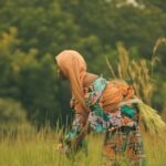 Copy of Copy of Copy of NEW POSTER 1920 x 1080 px