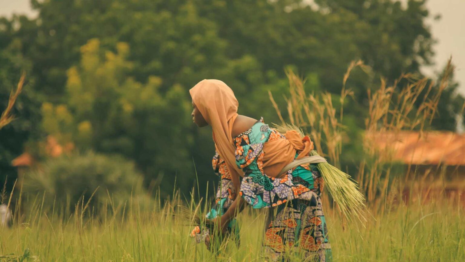 A New Decade for Her: What the Belém Gender Action Plan Means for Tanzanian Women 7 Copy of Copy of Copy of NEW POSTER 1920 x 1080 px