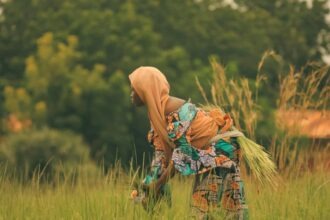 Copy of Copy of Copy of NEW POSTER 1920 x 1080 px