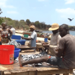 vlcsnap 2025 12 21 17h30m44s404