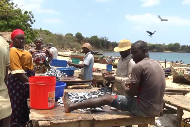 vlcsnap 2025 12 21 17h30m44s404