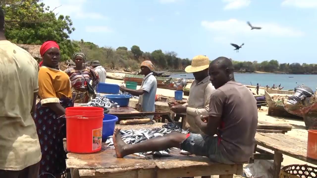 vlcsnap 2025 12 21 17h30m44s404