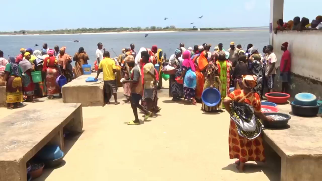 vlcsnap 2025 12 21 17h31m02s881