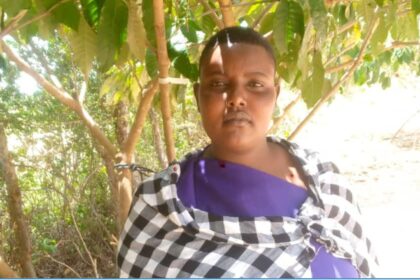 LISUU BLAHA NJSDJSKK 2