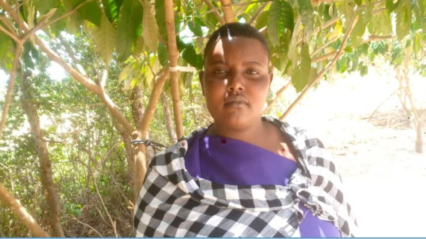 LISUU BLAHA NJSDJSKK 2