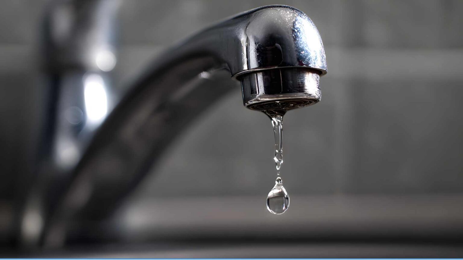 LISUU BLAHA NJSDJSKK 4