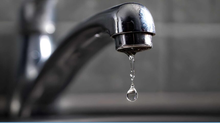 LISUU BLAHA NJSDJSKK 4