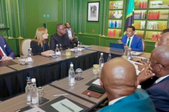 Tanzania, SpaceX and Starlink Discuss Investment in Communications